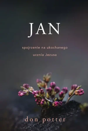 Jan. Spojrzenie na ukochanego ucznia Jezusa - Don Potter - książka