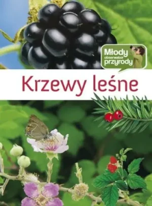 Krzewy leśne - Opracowanie Zbiorowe - książka