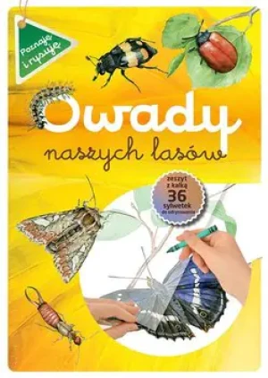 Owady naszych lasów - Katarzyna Kopiec-Sekieta - książka
