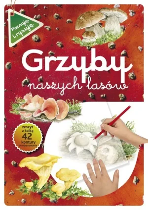 Grzyby naszych lasów - Katarzyna Kopiec-Sekieta - książka