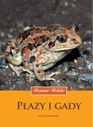Płazy i gady. Fauna Polski - Krzysztof Klimaszewski - książka