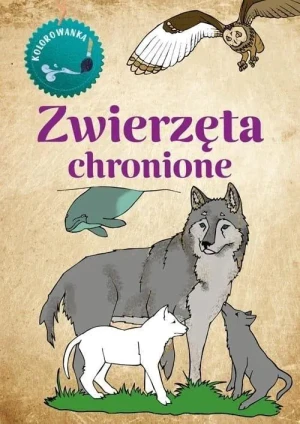 Zwierzęta chronione. Kolorowanka - Katarzyna Kopiec - Sekieta - książka