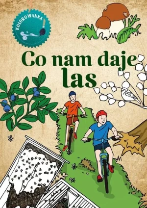 Co nam daje las. Kolorowanka - Katarzyna Kopiec-Sekieta - książka