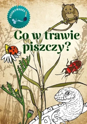 Co w trawie piszczy. Kolorowanka - Katarzyna Kopiec-Sekieta - książka