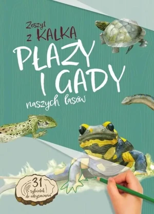 Płazy i gady naszych lasów. Zeszyt z kalką - Katarzyna Kopiec Sekieta - książka