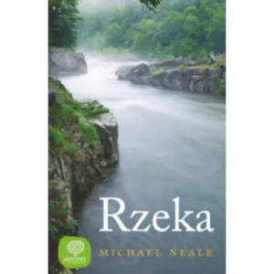 Labirynty. Rzeka - Stieg Larsson - książka