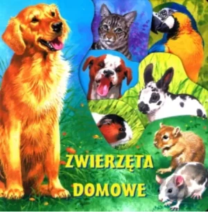 Zwierzęta domowe - praca zbiorowa - książka