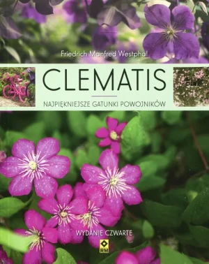 Clematis. Najpiękniejsze gatunki powojników - Friedrich Manfred Westphal - książka