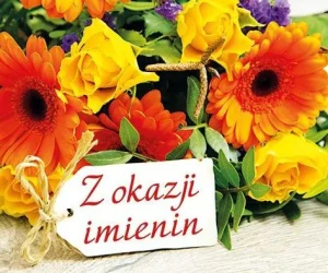 Z okazji imienin - praca zbiorowa - książka