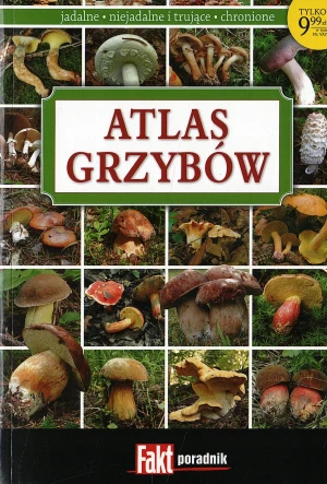 Atlas grzybów - Wiesław Kamiński - książka