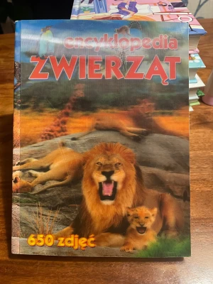 Encyklopedia zwierząt - PRACA ZBIOROWA - książka