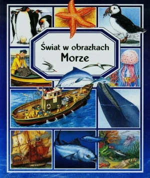 Świat w obrazkach. Morze - Pimont Marie-Renee,  Beaumont Emilie - książka