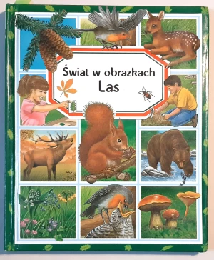 Las Świat w obrazkach - Beaumont Emilie - książka