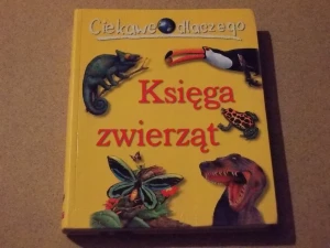 Ciekawe dlaczego Księga zwierząt - PRACA ZBIOROWA - książka