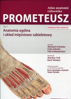 Prometeusz Atlas anatomii człowieka Tom 1 - Schunke Michael - książka