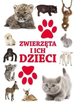 Dla dzieci - Zwierzęta i ich dzieci Damidos - praca zbiorowa - książka