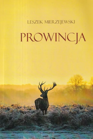 Prowincja - Leszek Mierzejewski - książka