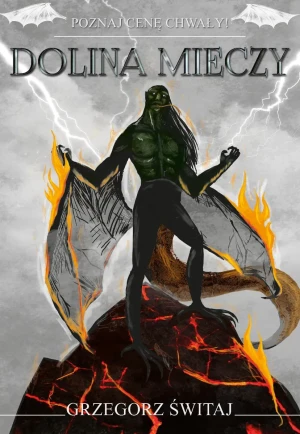 Dolina mieczy - Grzegorz Świtaj - książka