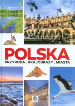 Polska. Przyroda, Krajobrazy, Miasta - praca zbiorowa - książka