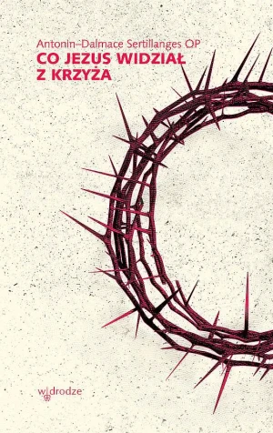 Co Jezus widział z krzyża - Antonin-Dalmace Sertillanges - książka
