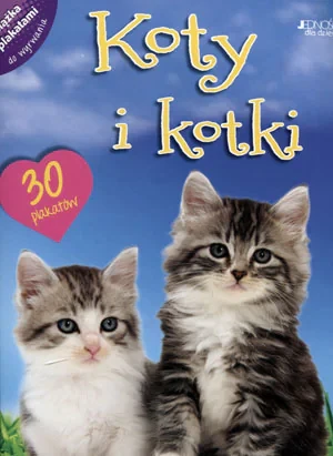 Koty i kotki. Książka z plakatami - praca zbiorowa - książka