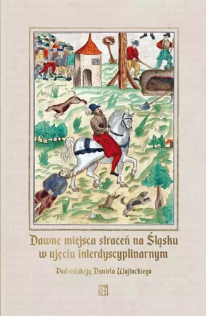 Dawne miejsca straceń na Śląsku w ujęciu interdyscyplinarnym - Daniel Wojtucki - książka