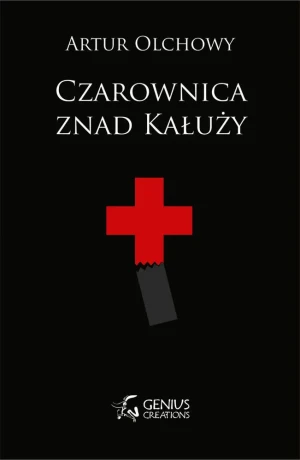 Czarownica znad Kałuży - Artur Olchowy - książka