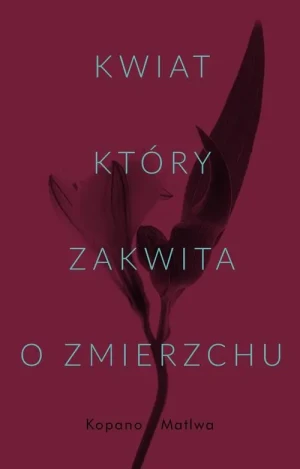 Kwiat, który zakwita o zmierzchu - Kopano Matiwa, Magdalena Słysz - książka