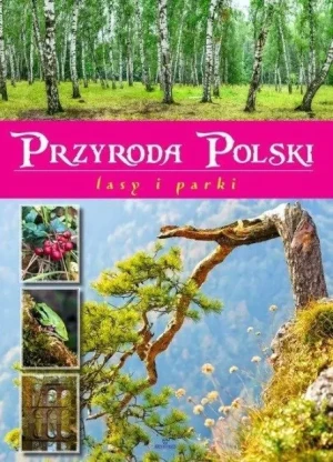 Przyroda Polski Lasy i Parki - Żaneta Zając - książka