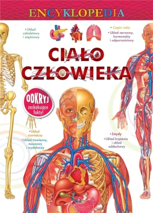 Encyklopedia. Ciało człowieka - praca zbiorowa - książka