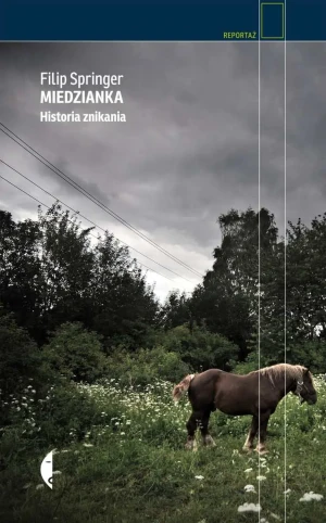 Miedzianka. Historia znikania - Filip Springer - książka