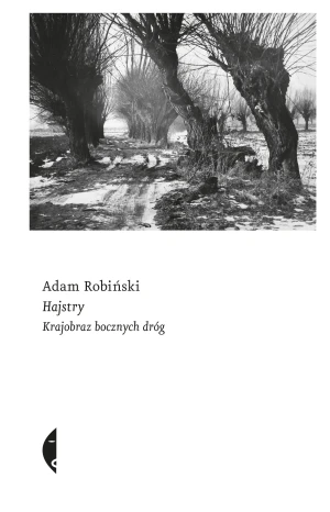 Hajstry. Krajobraz bocznych dróg - Adam Robiński - książka