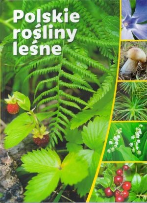 Polskie rośliny leśne - Praca zbiorowa - książka