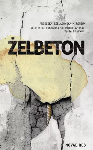 Żelbeton - Angelika Szelągowska-Mironiuk - książka