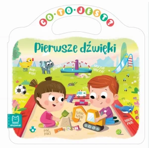 CO TO JEST  PIERWSZE DŹWIĘKI - Sylwia Kajdana - książka