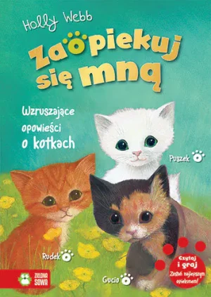 Wzruszające opowieści o kotkach. Zaopiekuj się mną - Webb Holly - książka
