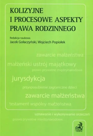 Kolizyjne i procesowe aspekty prawa rodzinnego - Pietrzyk Agnieszka - książka
