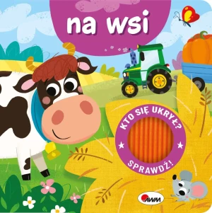 Na wsi. Kto się ukrył - Elżbieta Korolkiewicz - książka