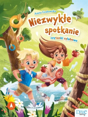 Niezwykłe spotkanie - Aneta Grabowska - książka