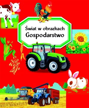 Gospodarstwo. Świat w obrazkach - Emilie Beaumont - książka