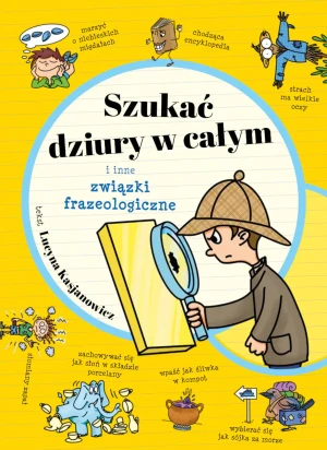 Szukać dziury w całym i inne związki frazeologiczne - Lucyna Kasjanowicz - książka