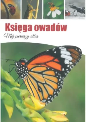 Księga owadów. Mój pierwszy atlas - Jacek Twardowski - książka