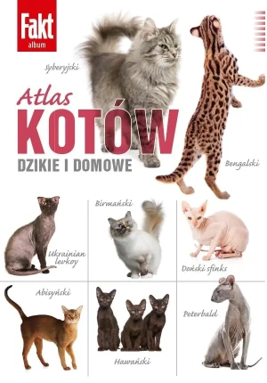 Fakt Album - Alicja Szewczyk, Robert Szewczyk - książka