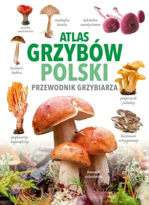 Atlas grzybów Polski. Przewodnik grzybiarza - Marek Snowarski - książka