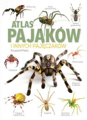 Atlas pająków i innych pajęczaków - Krzysztof Pabis - książka