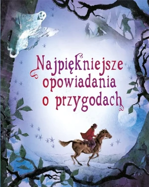 Najpiękniejsze opowiadania o przygodach - praca zbiorowa - książka