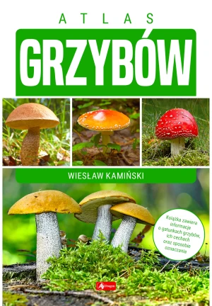 Atlas grzybów - praca zbiorowa - książka