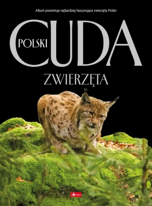 Cuda Polski. Zwierzęta - Łukasz Przybyłowicz - książka
