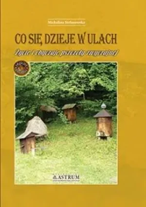 Co się dzieje w ulach - Michalina Stefanowska - książka