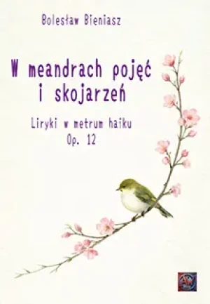W meandrach pojęć i skojarzeń - Bolesław Bieniasz - książka